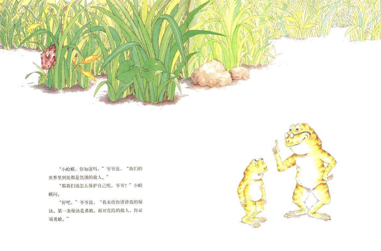 蛤蟆爷爷的秘诀绘本故事第3页