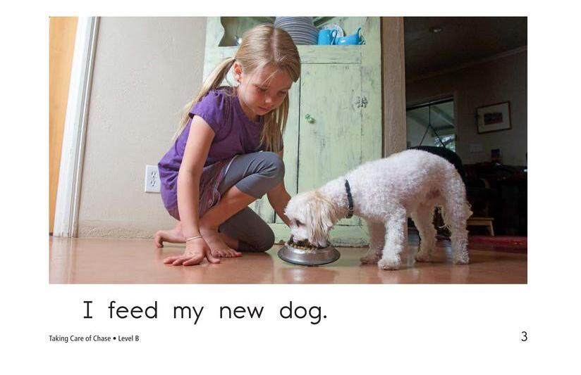 Taking Care of Chase绘本故事第3页