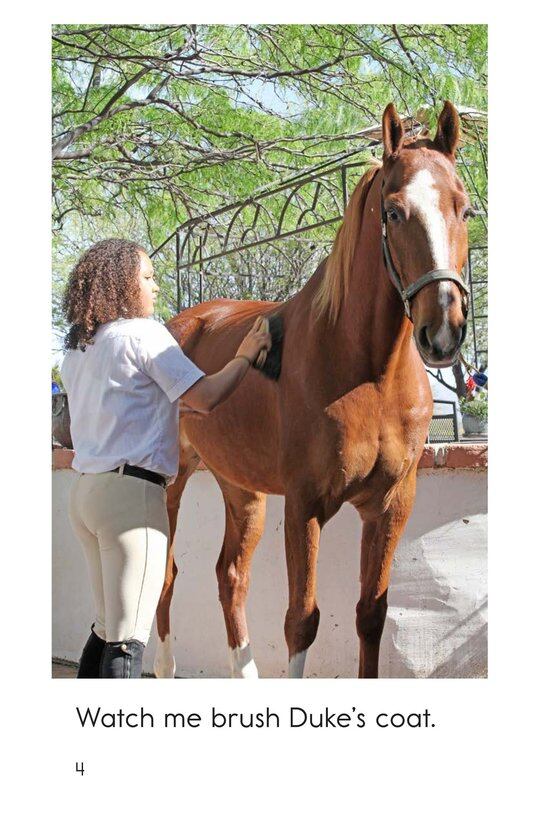 I Work at the Stables绘本故事第4页