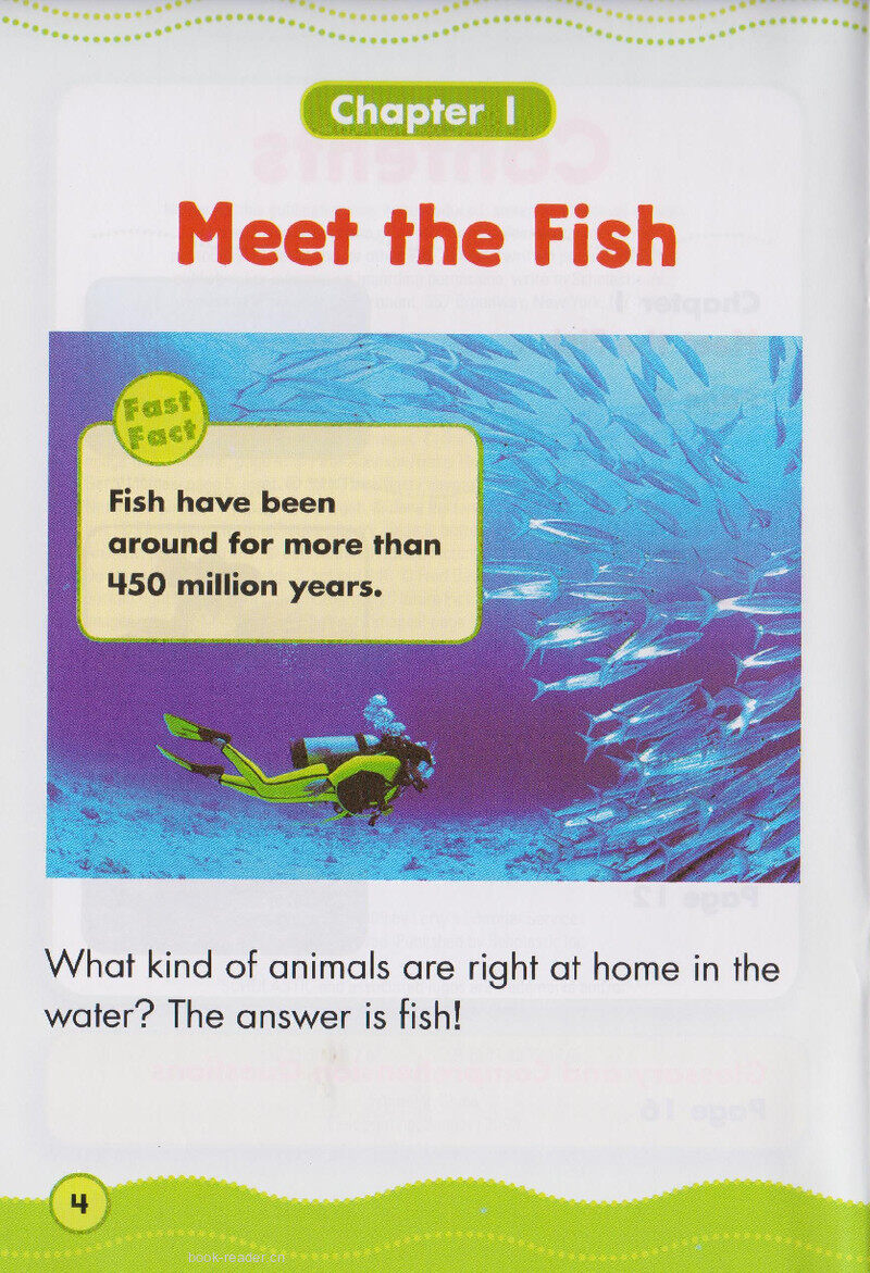 Fantastic Fish绘本故事第3页