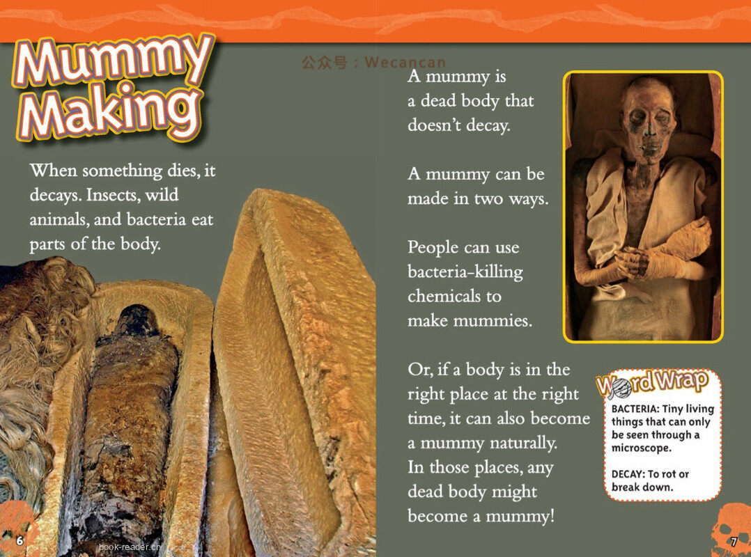 Mummies绘本故事第4页