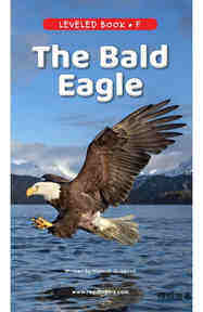 The Bald Eagle