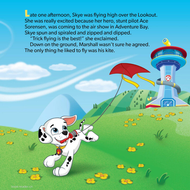 High-Flying Skye绘本故事第4页
