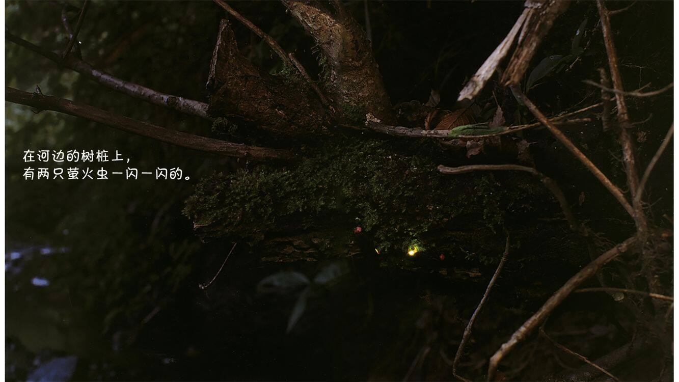 诞生了！萤火虫绘本故事第5页