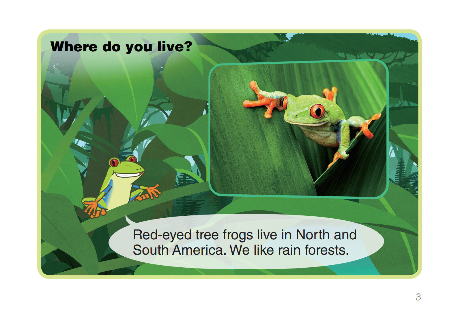 Red-Eyed Tree Frog绘本故事第4页