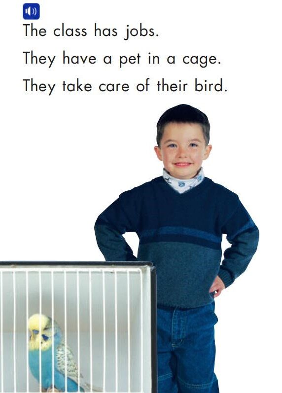 The Class绘本故事第5页