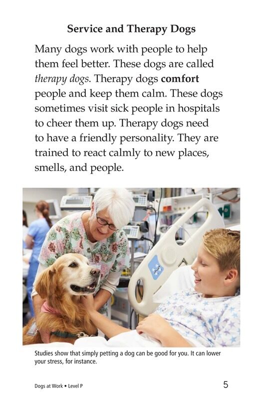 Dogs at Work绘本故事第4页