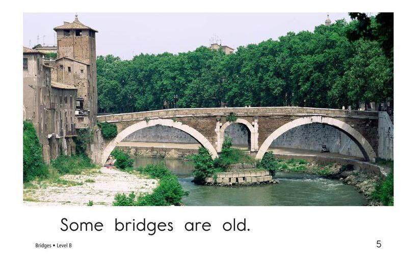 Bridges绘本故事第5页