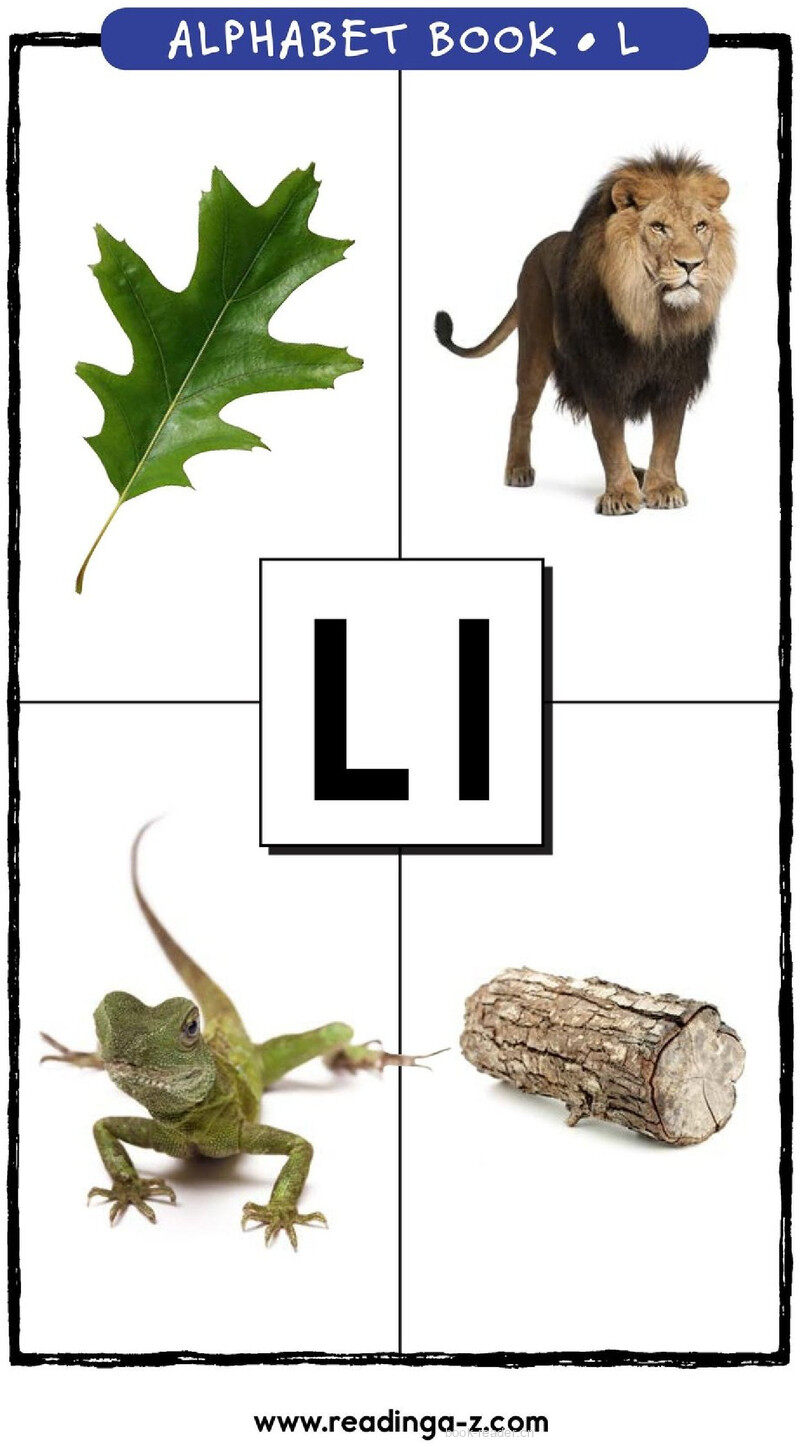 Letter L绘本故事第2页