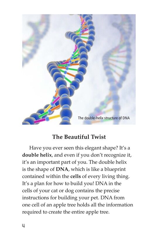 Rosalind Franklin's Beautiful Twist绘本故事第3页