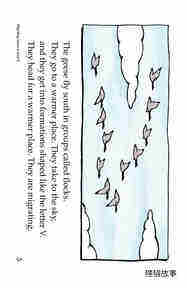 Migrating Geese绘本故事第5页