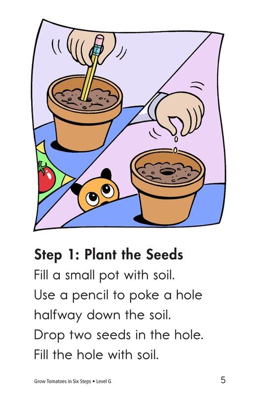 Grow Tomatoes in Six Steps绘本故事第4页