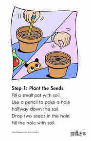 Grow Tomatoes in Six Steps绘本故事第4页