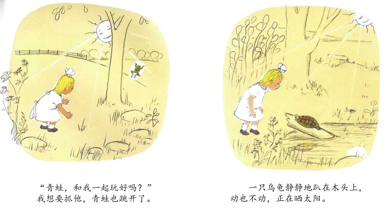 和我一起玩绘本故事第5页