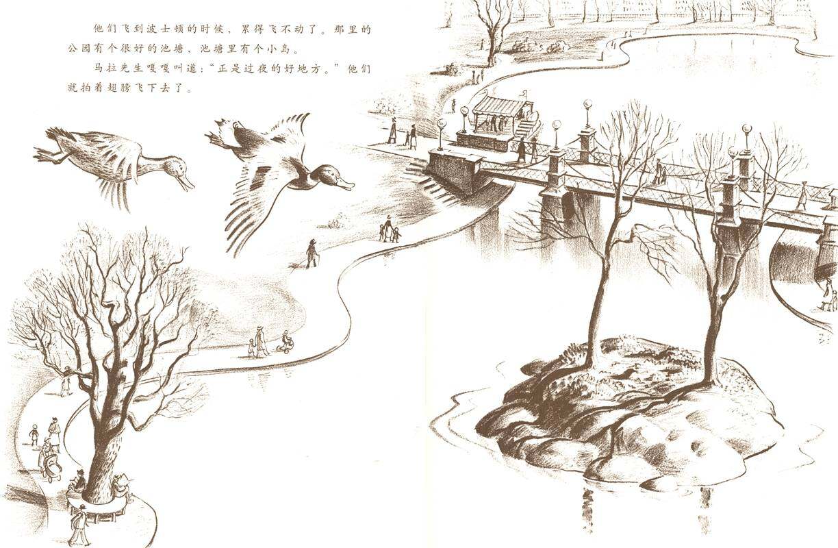 让路给小鸭子绘本故事第3页