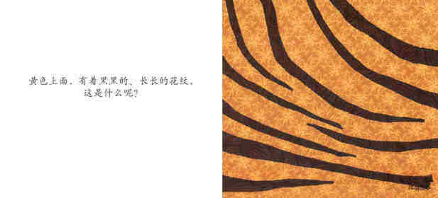 咦，这是什么绘本故事第4页