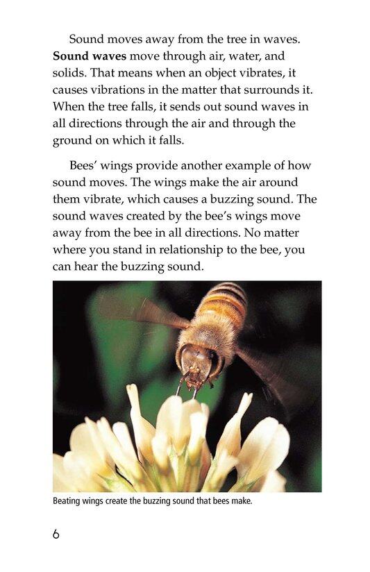 How Sound Works绘本故事第5页
