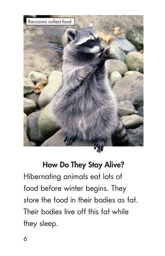 Hibernation绘本故事第5页