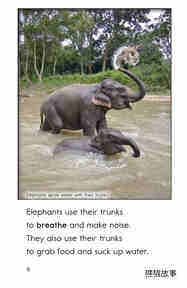 Elephants Giant Mammals绘本故事第5页