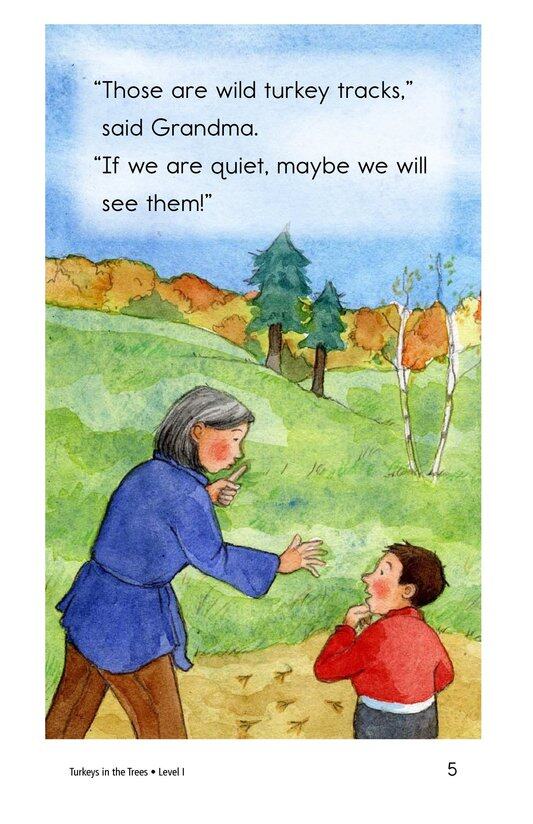 Turkeys in the Trees绘本故事第5页
