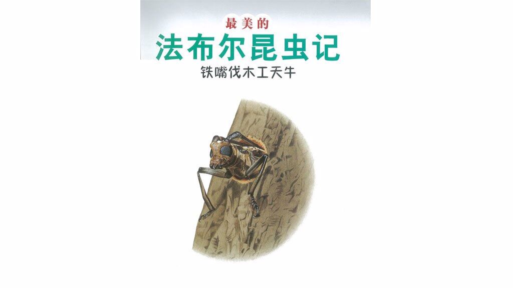 铁嘴伐木工天牛绘本故事第2页