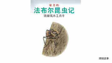 铁嘴伐木工天牛绘本故事第2页