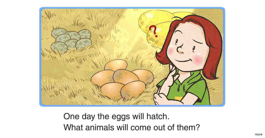 Eggs绘本故事第3页