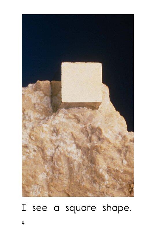 Shapes in Nature绘本故事第4页