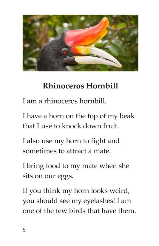 Weird Bird Beaks绘本故事第5页