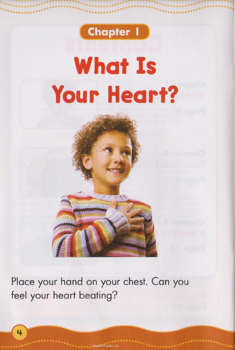 Your Heart绘本故事第3页