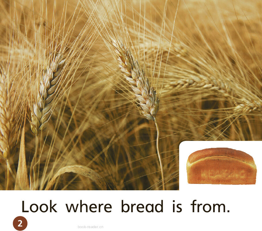 GK Approach U09W3 Look Where It Is From绘本故事第3页