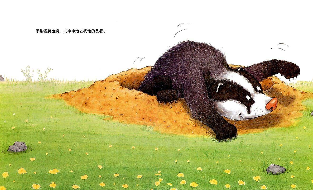 獾的美餐绘本故事第3页