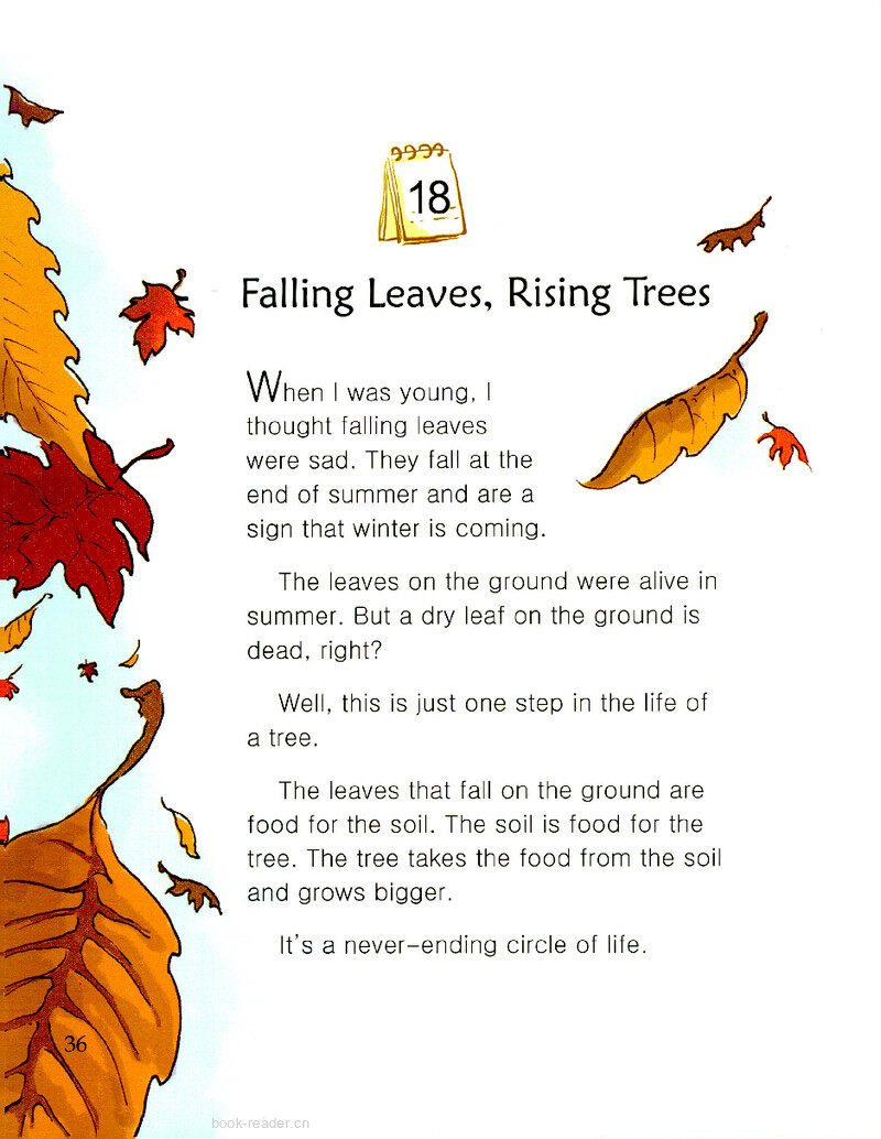 Falling Leaves, Rising Trees绘本故事第2页