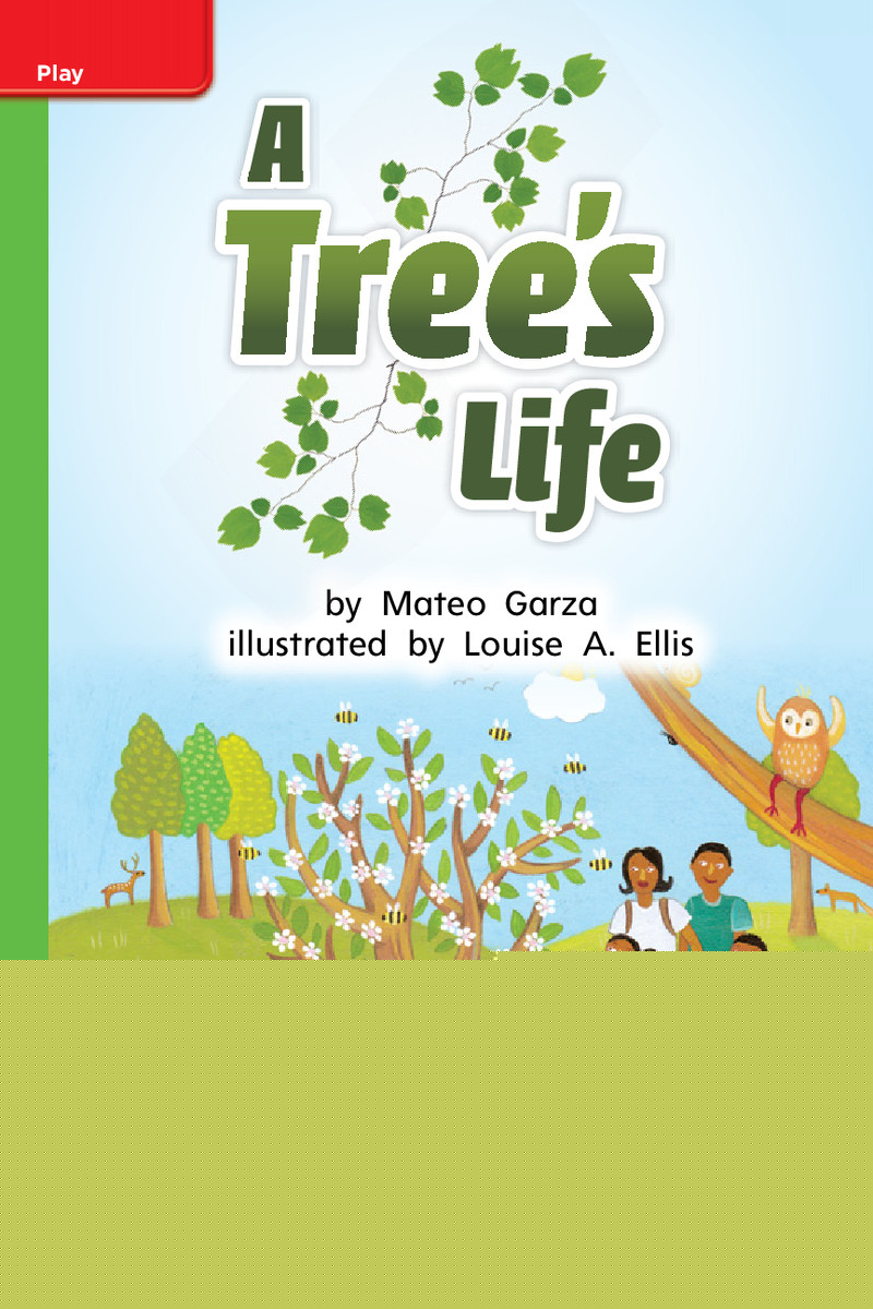 G1 Bey U3W2 A Tree's Life绘本故事第2页