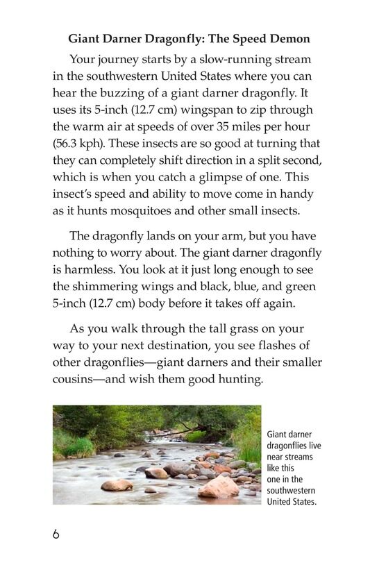 Giant Insects绘本故事第5页