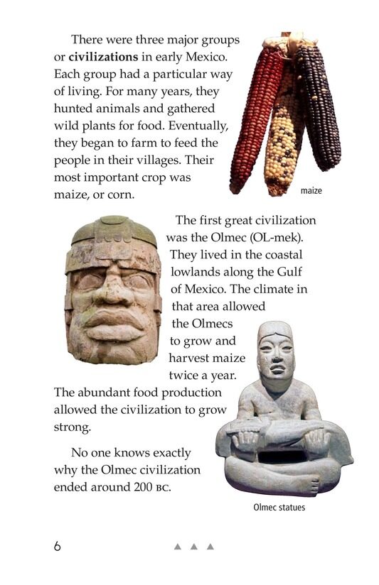 Mexico's Fight for Independence绘本故事第5页