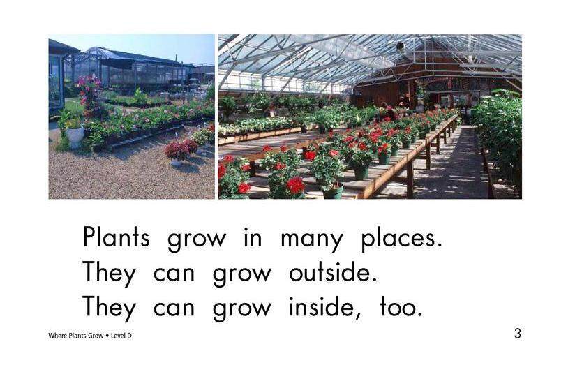 Where Plants Grow绘本故事第3页