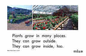 Where Plants Grow绘本故事第3页