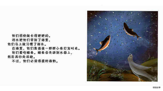 鲑鱼绘本故事第5页