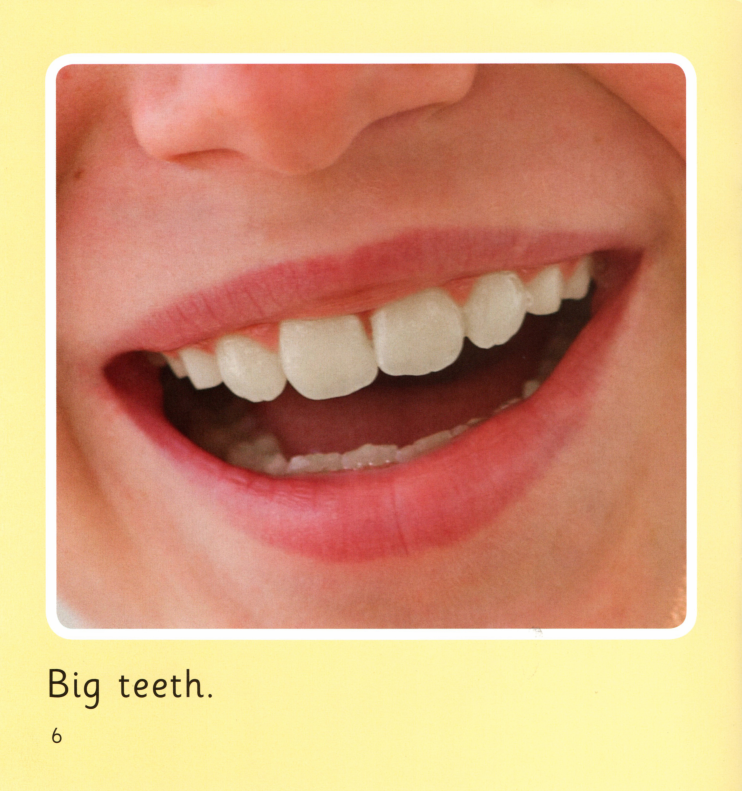 Teeth绘本故事第5页