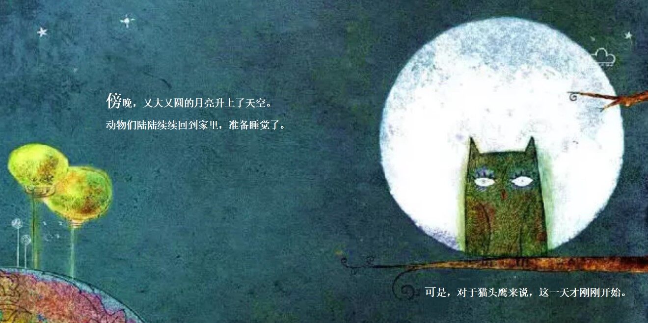 zzzzz一本讲述睡觉的书绘本故事第3页