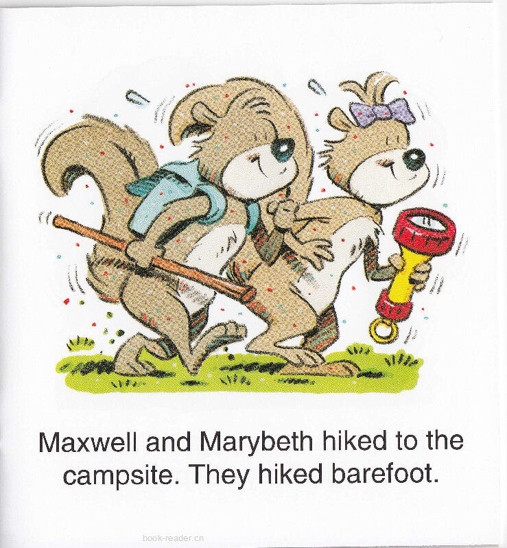 The Campsite绘本故事第4页