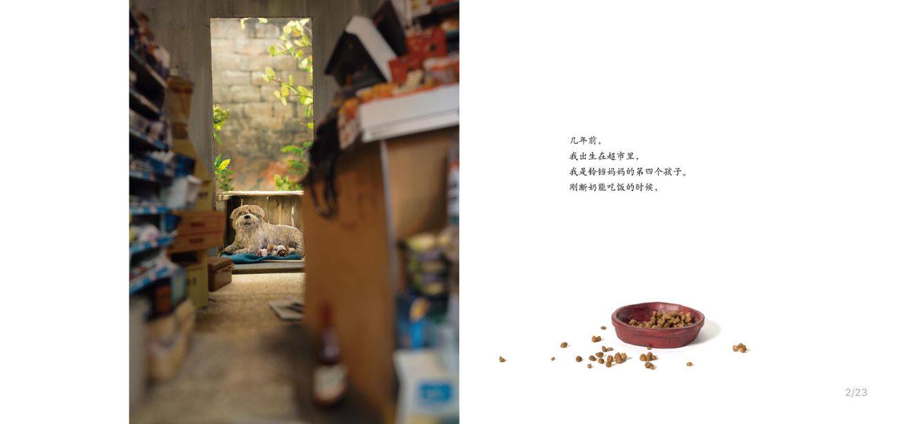 我是狗绘本故事第3页