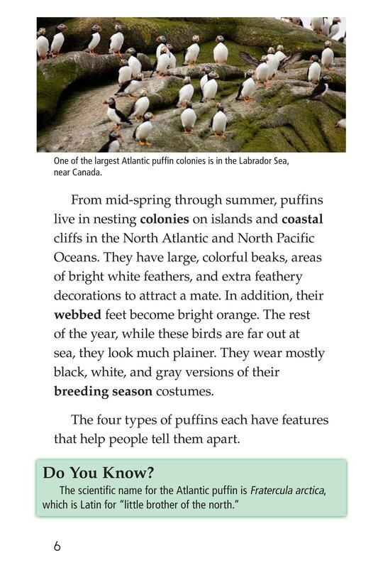 Puffins绘本故事第5页