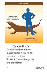 Komodo Dragons Giant Reptiles绘本故事第3页