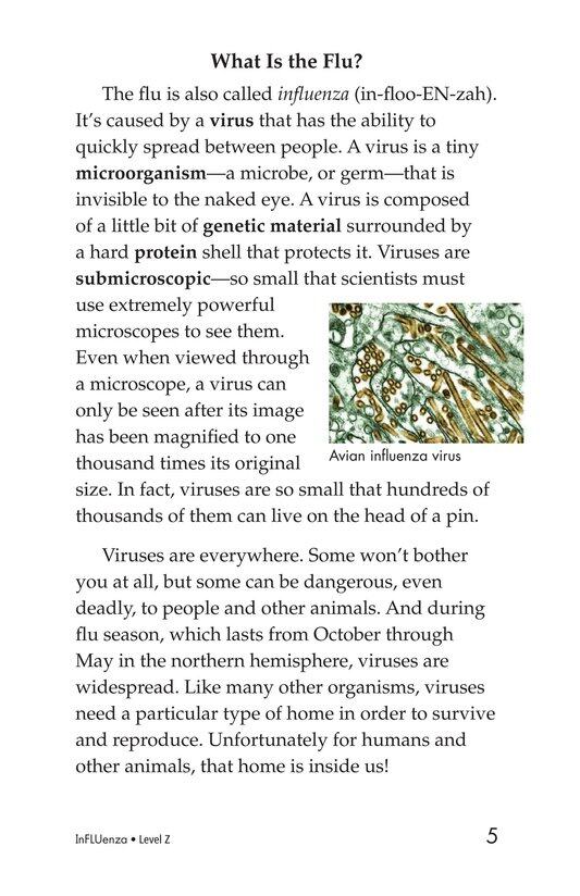 InFLUenza绘本故事第4页