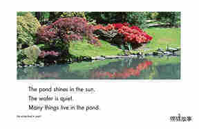 Life at the Pond绘本故事第3页
