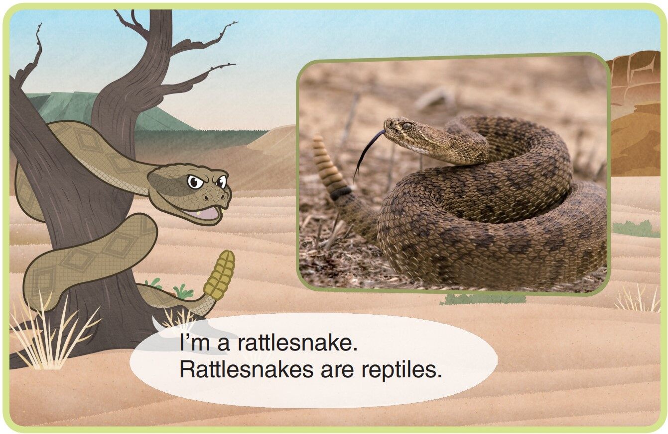 Rattlesnake绘本故事第3页