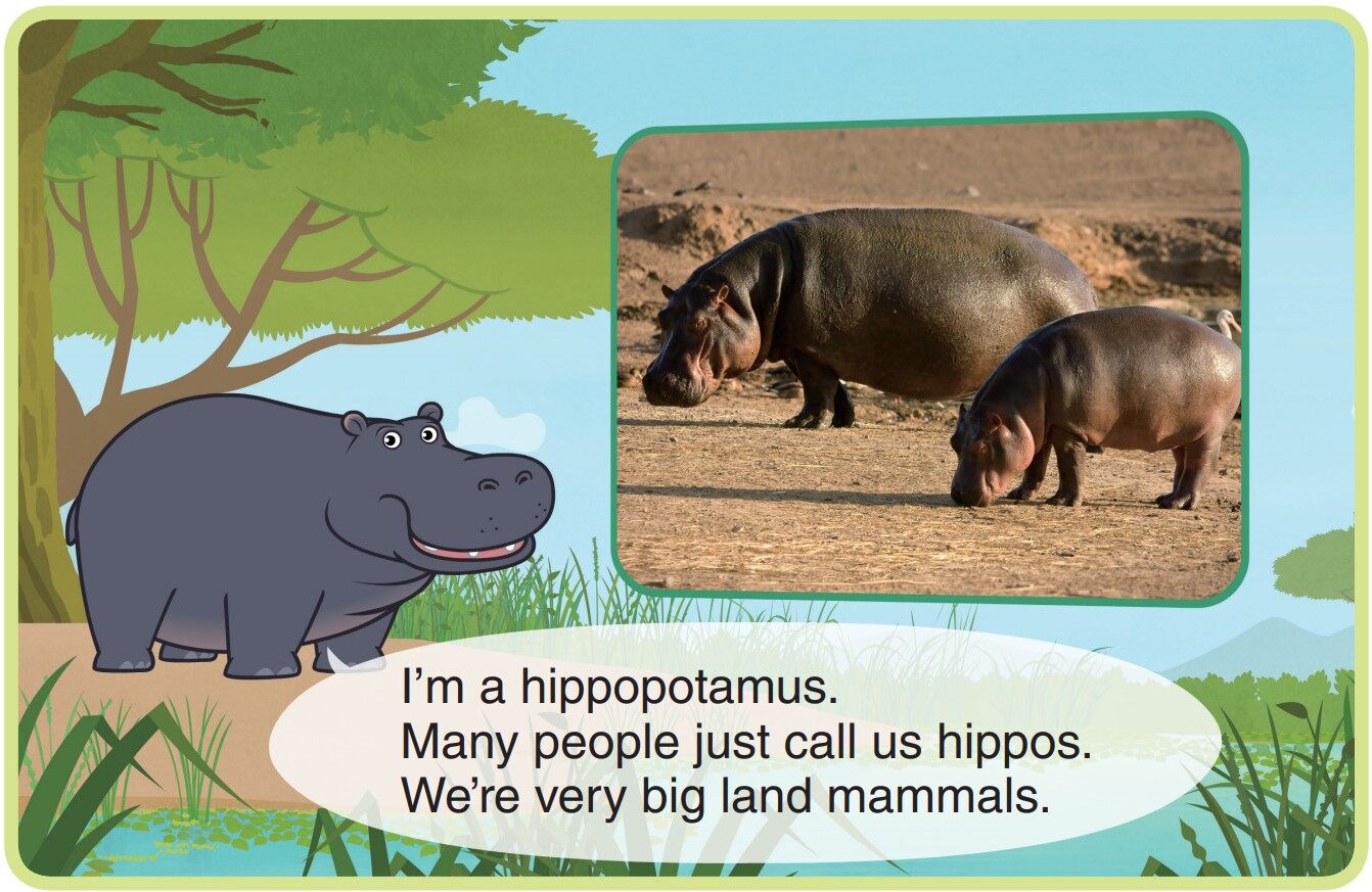Hippopotamus绘本故事第3页