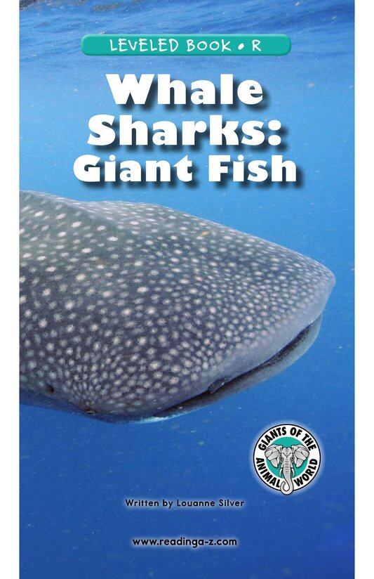 Whale Sharks Giant Fish绘本故事第2页